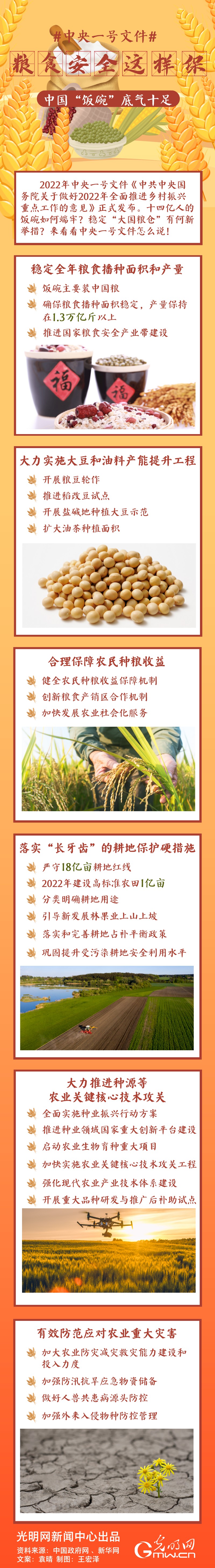中央一號文件｜糧食安全這樣保，中國“飯碗”底氣十足