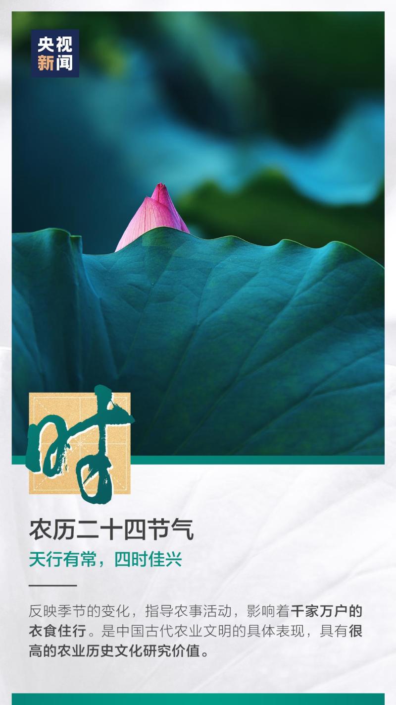 這也太浪漫了吧！