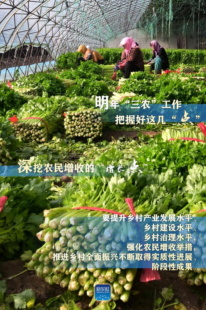 明年“三農(nóng)”工作，這幾個(gè)“點(diǎn)”要把握好