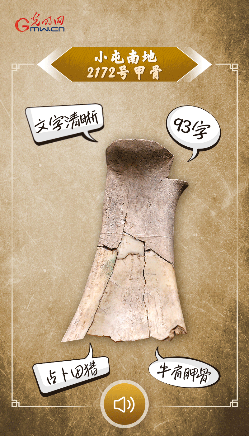 文物會說話 | 殷墟博物館新館開館啦，帶你奔赴“千年之約”