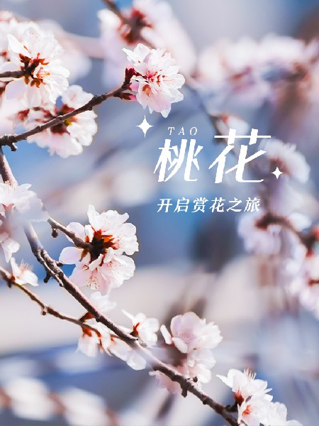 追花指南第三期！別等了 今天就去和桃花撞個滿懷