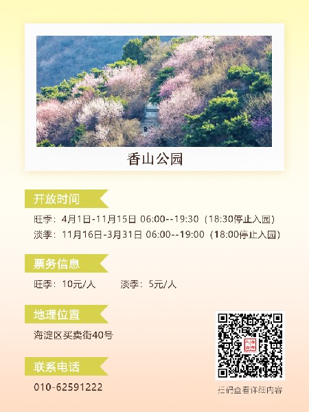 追花指南第六期！杏花雨 楊柳風(fēng) 北京最美的杏花在這里