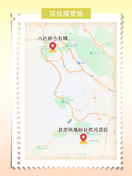 追花指南第六期！杏花雨 楊柳風(fēng) 北京最美的杏花在這里