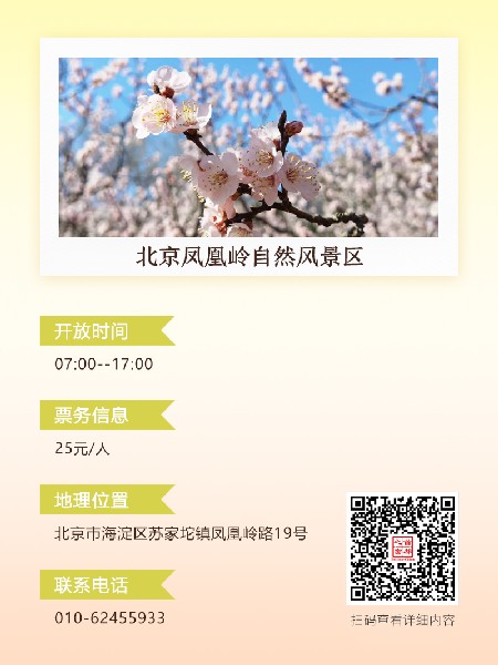 追花指南第六期！杏花雨 楊柳風(fēng) 北京最美的杏花在這里