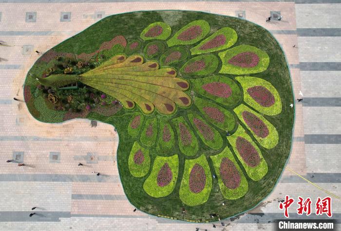 圖為航拍花壇。(無(wú)人機(jī)照片) 翟羽佳 攝