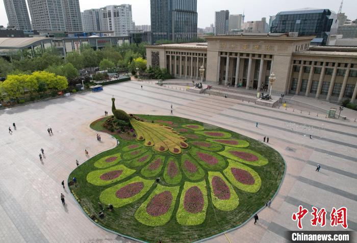 圖為航拍花壇。(無(wú)人機(jī)照片) 翟羽佳 攝