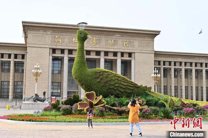 圖為游客在花壇前拍照打卡。　翟羽佳 攝