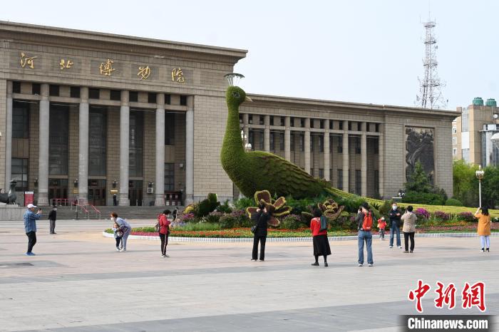 圖為游客在花壇前拍照打卡?！〉杂鸺?攝