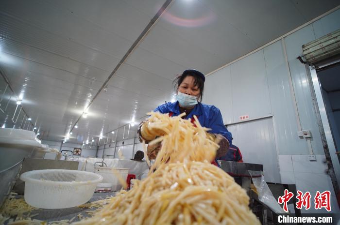 圖為一名工人正在處理切成條狀后的酸筍?！№f國政 攝