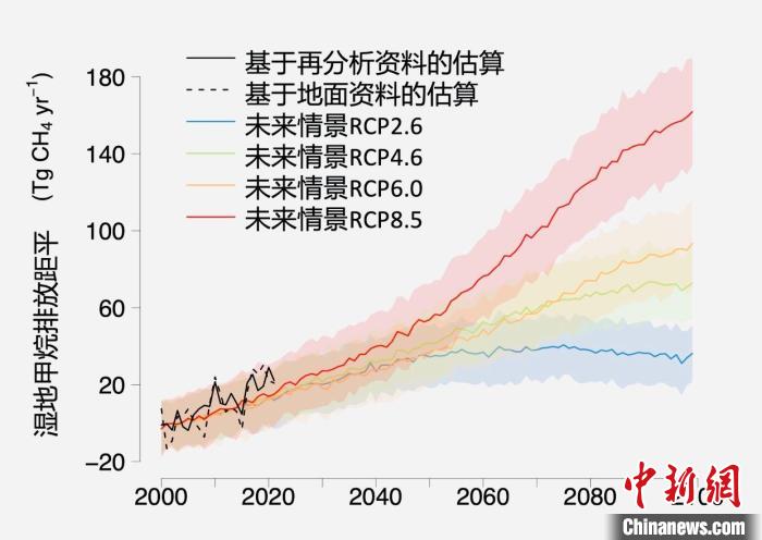 基于觀測(cè)的濕地甲烷排放變化與未來氣候變化情景下估算的對(duì)比?！≈锌圃呵嗖馗咴?供圖