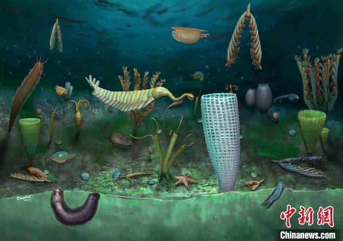 Castle Bank動(dòng)物群藝術(shù)復(fù)原圖(Yang Dinghua繪制)?！∈┢樟指瘛ぷ匀?供圖