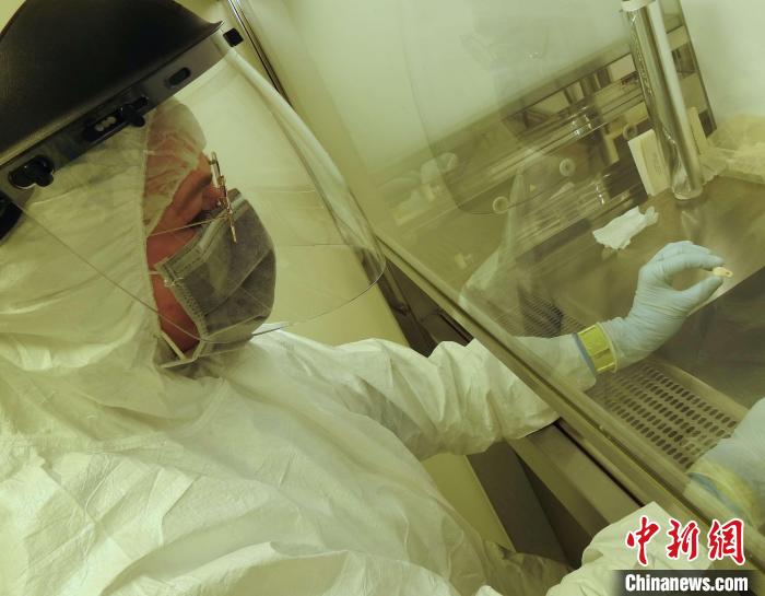 Elena Essel在凈室中處理鹿牙墜飾(圖片來自馬克斯·普朗克演化人類學(xué)研究所)?！∈┢樟指瘛ぷ匀?供圖