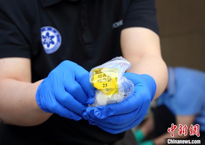 隨神舟十五號(hào)返回地面的空間科學(xué)實(shí)驗(yàn)樣品?！≈锌圃嚎臻g應(yīng)用中心 供圖