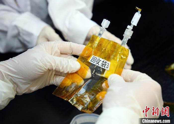 隨神舟十五號(hào)返回地面的空間科學(xué)實(shí)驗(yàn)樣品?！≈锌圃嚎臻g應(yīng)用中心 供圖