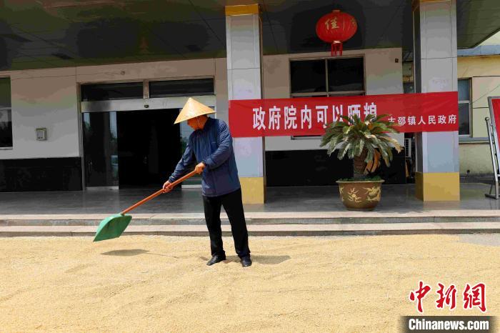 村民在棗莊市嶧城區(qū)古邵鎮(zhèn)政府大院內(nèi)晾曬糧食?！『?　攝