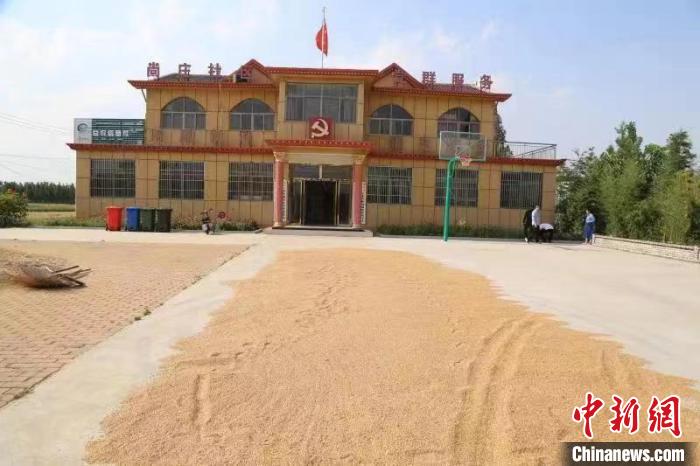農(nóng)民在邳莊鎮(zhèn)尚莊村黨群服務(wù)中心大院里曬糧?！≠Z萌 攝