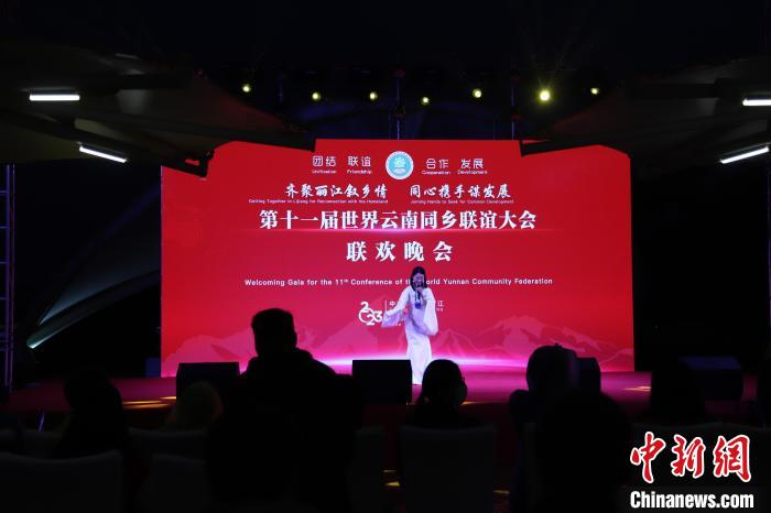 圖為第十一屆世界云南同鄉(xiāng)聯(lián)誼大會舉辦聯(lián)歡晚會。　崔永江 攝
