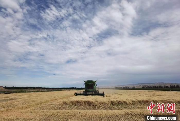 894.3公斤！石河子一麥田再創(chuàng)新疆冬小麥畝產(chǎn)新高