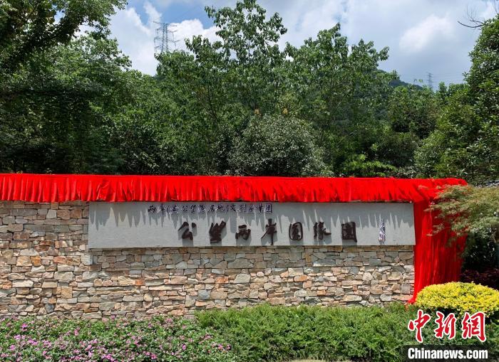 “公望兩岸圓緣園”開園?！」溻?攝