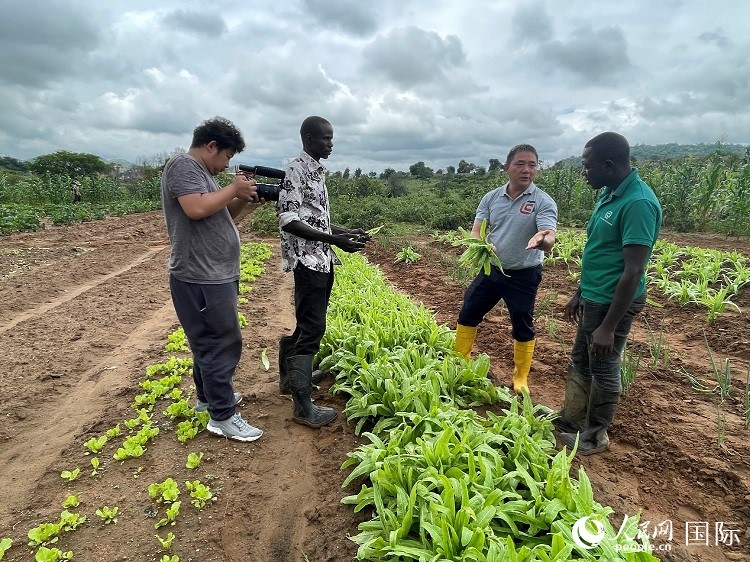 人民網(wǎng)記者走進尼日利亞農(nóng)業(yè)技術示范中心。人民網(wǎng)記者 趙艷紅攝