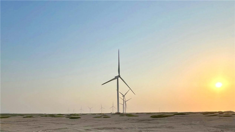 圖為阿聯(lián)酋風電示范項目在阿布扎比薩爾巴尼亞斯島上的風電場。 中國電建供圖