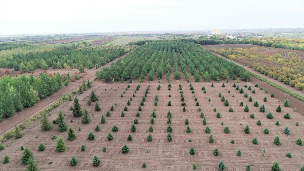 這是2023年9月11日在哈薩克斯坦首都阿斯塔納拍攝的一處植物種質資源苗圃（無人機照片）。新華社發(fā)（法爾哈特·圖克諾夫 攝）