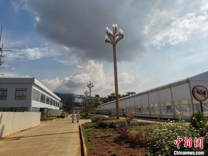 圖為園區(qū)生活區(qū)。 受訪者供圖