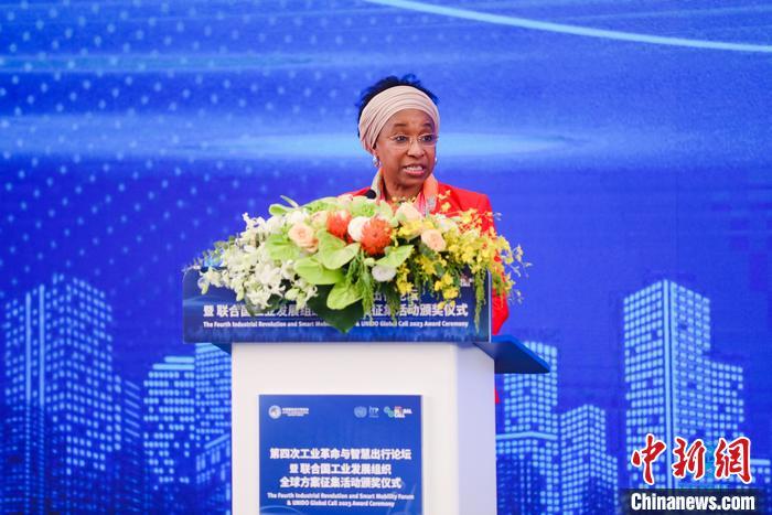 聯(lián)合國工業(yè)發(fā)展組織總干事代表兼執(zhí)行干事法圖 海達拉致辭。