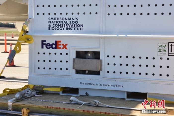 當(dāng)?shù)貢r間11月8日，美國華盛頓史密森學(xué)會國家動物園的大熊貓“美香”“添添”和它們的幼崽“小奇跡”乘坐的專機從華盛頓杜勒斯國際機場起飛前往中國成都。圖為裝有大熊貓的特制“旅行箱”。<a target='_blank' href='/'><p  align=