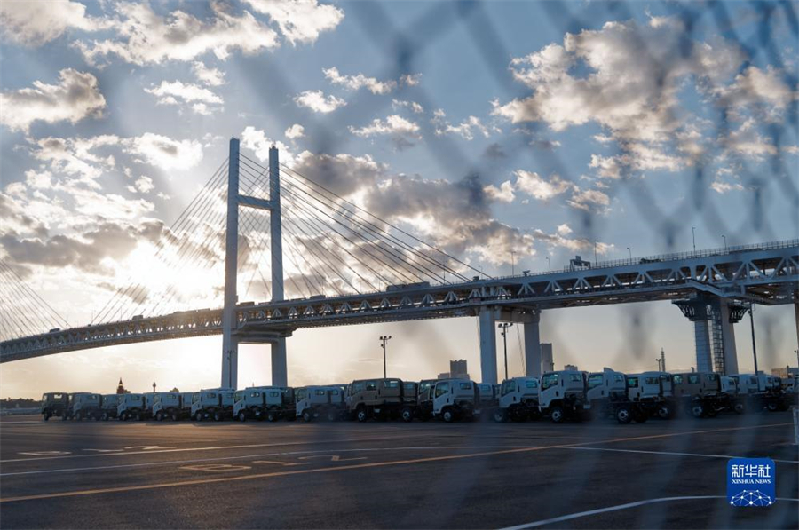 這是11月14日在日本橫濱拍攝的進出口汽車集散場地。新華社記者 張笑宇 攝
