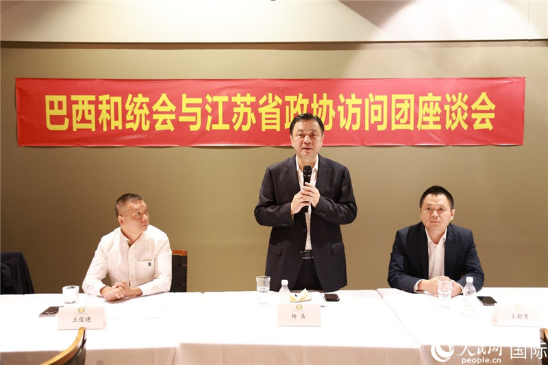 江蘇省政協(xié)副主席楊岳（中）在座談會(huì)上致辭。人民網(wǎng)記者 陳海琪攝