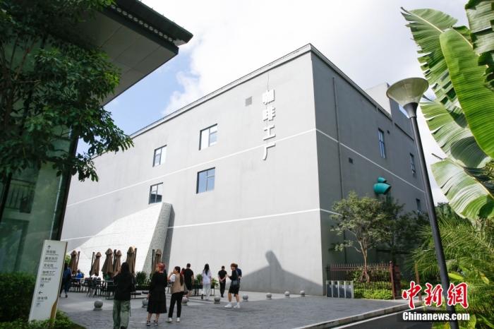 圖為采訪團(tuán)一行參觀咖啡工廠。 曹淼欣 攝