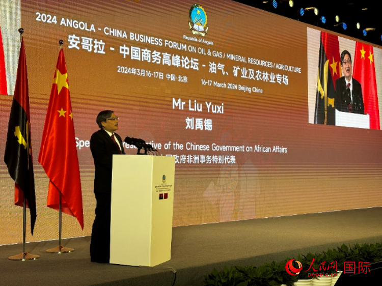 中國政府非洲事務(wù)特別代表劉禹錫。人民網(wǎng)記者 張榮攝