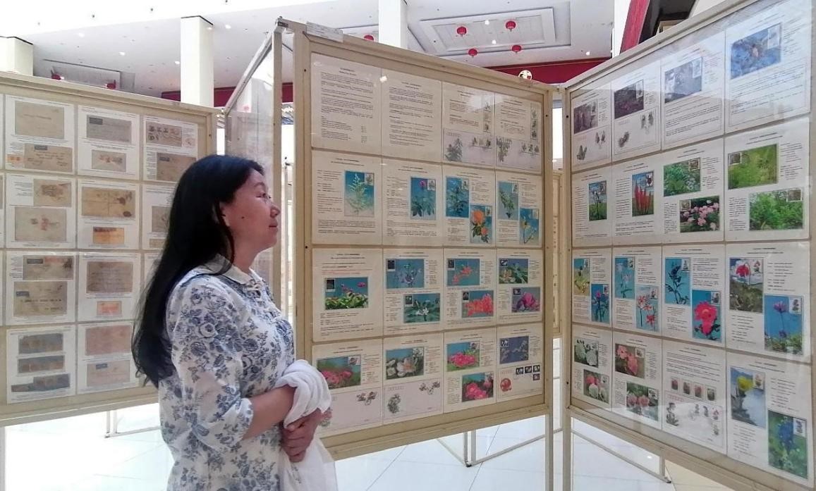 藥用植物極限片展覽場景。第七屆阿聯(lián)酋集郵展主辦方供圖