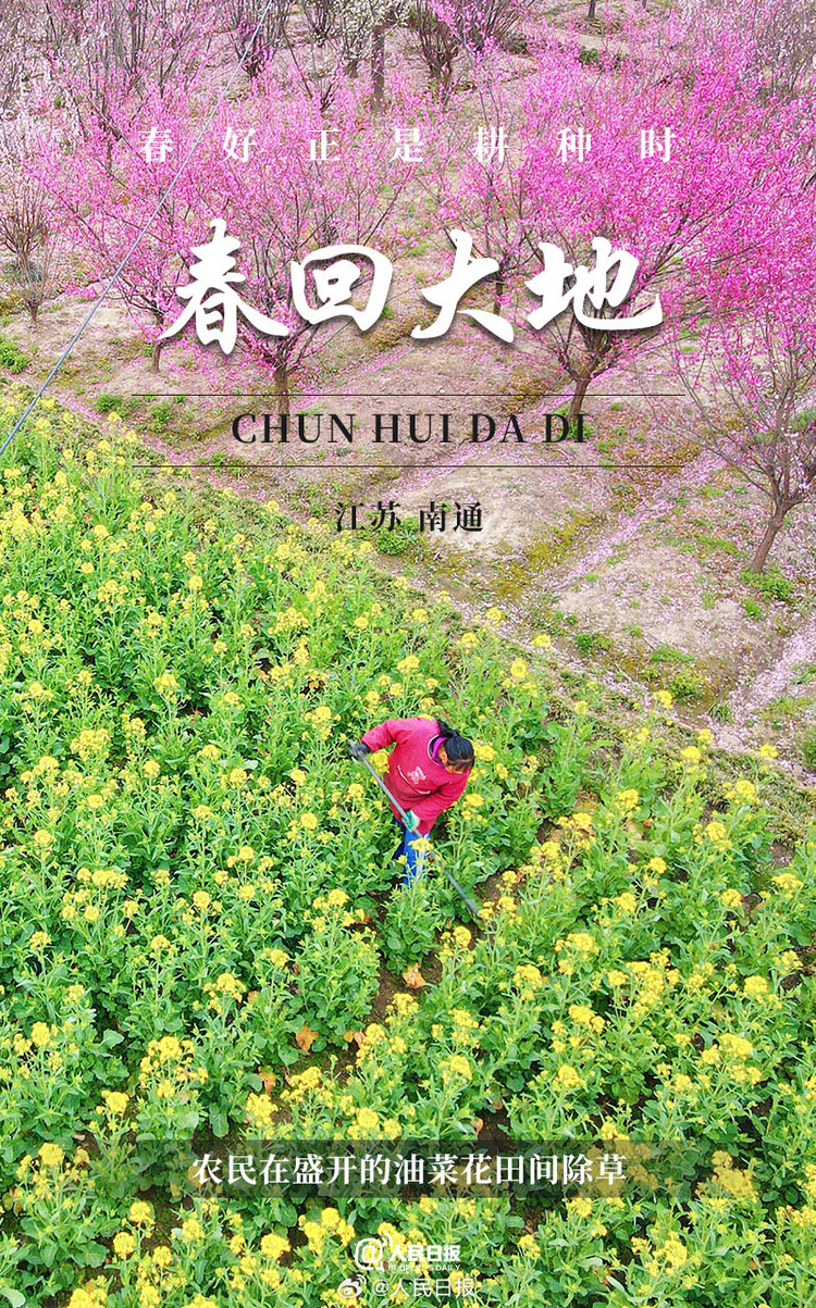 生機(jī)盎然！用課本封面打開(kāi)春耕畫(huà)卷