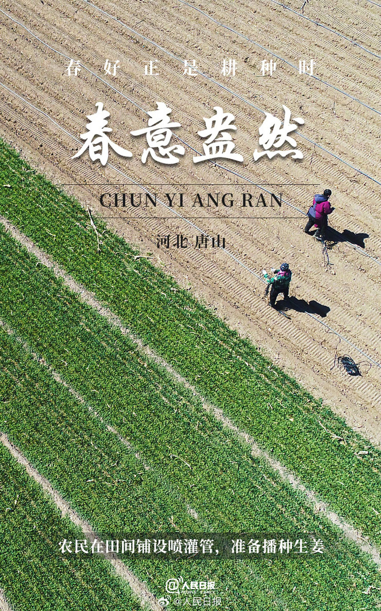 生機(jī)盎然！用課本封面打開(kāi)春耕畫(huà)卷