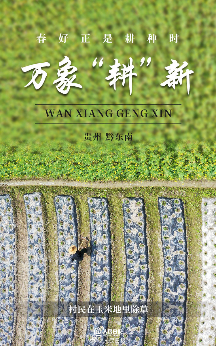 生機(jī)盎然！用課本封面打開(kāi)春耕畫(huà)卷