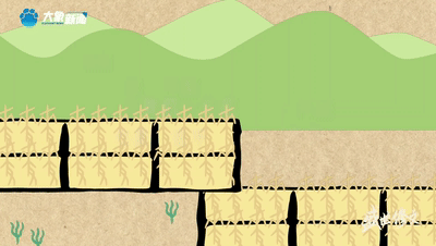 盛世修文|殷墟上新點亮“一字千年”奇妙夜