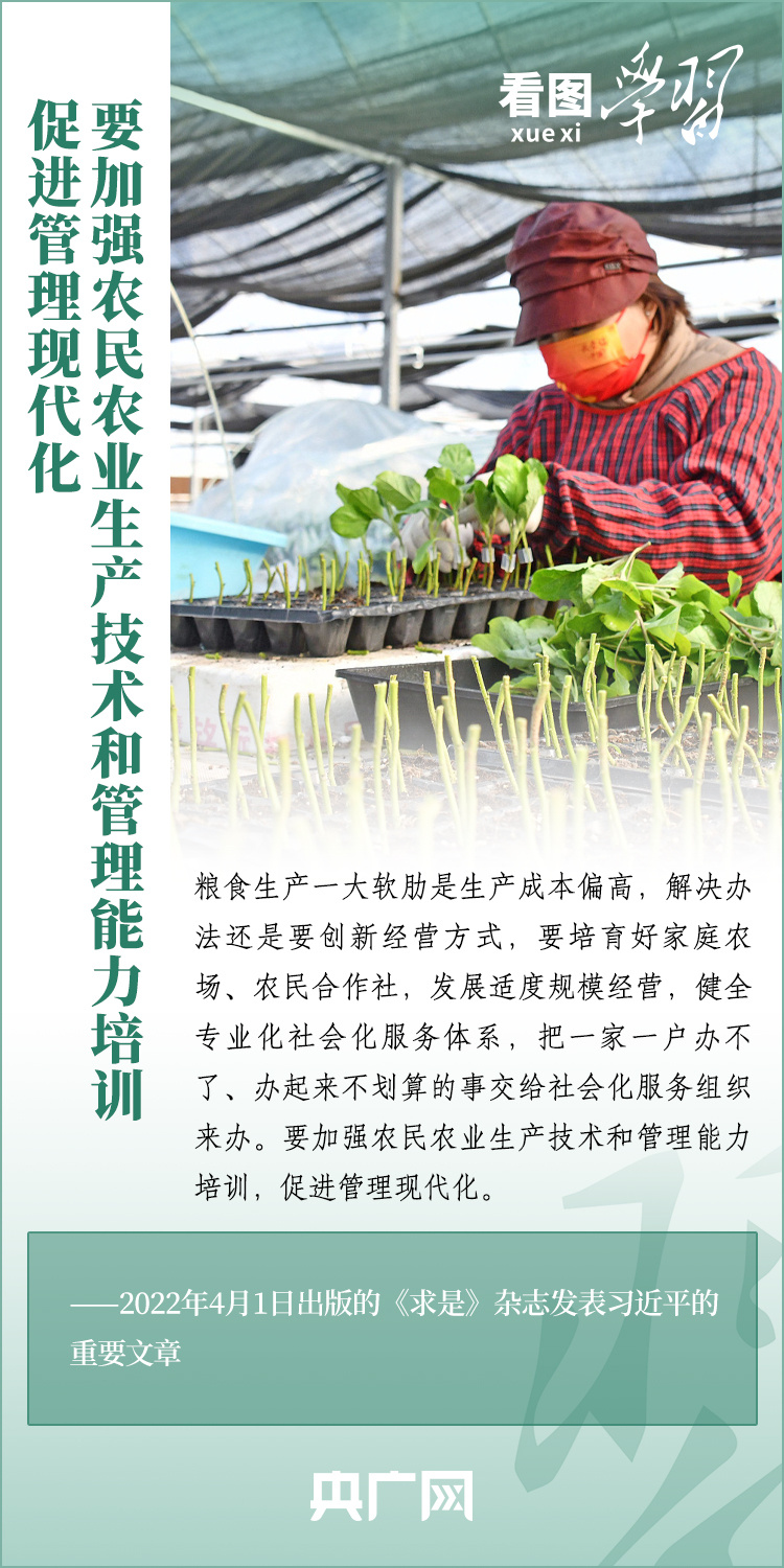 看圖學(xué)習(xí)丨推廣良田、良種、良法、良機(jī) 給農(nóng)業(yè)現(xiàn)代化插上科技的翅膀