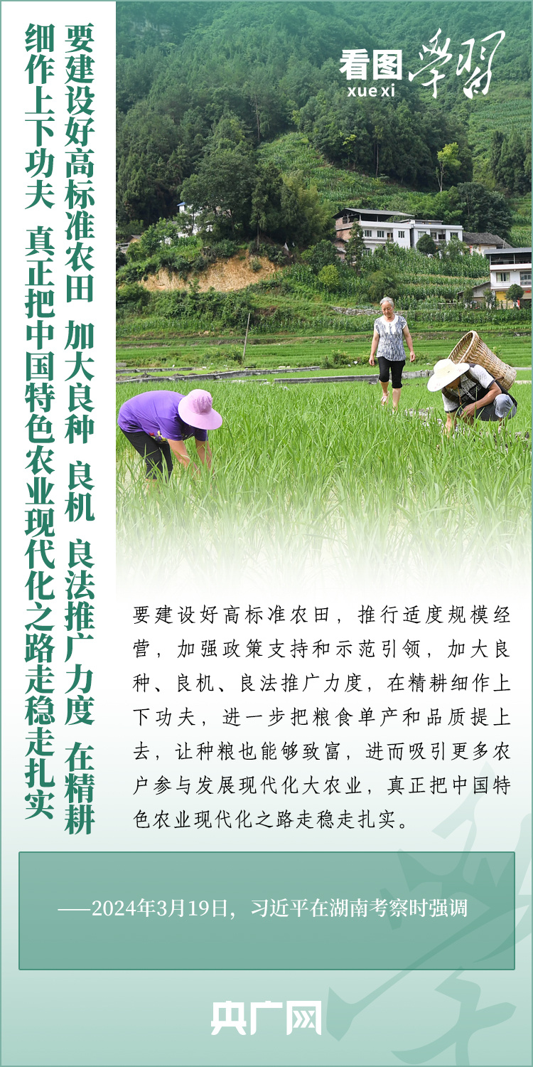 看圖學(xué)習(xí)丨推廣良田、良種、良法、良機(jī) 給農(nóng)業(yè)現(xiàn)代化插上科技的翅膀