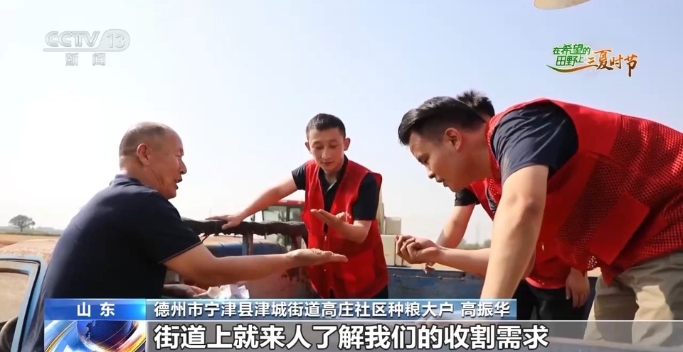 “三夏”生產(chǎn)思維導(dǎo)圖安排上了！還有政府大院等你來(lái)“曬”