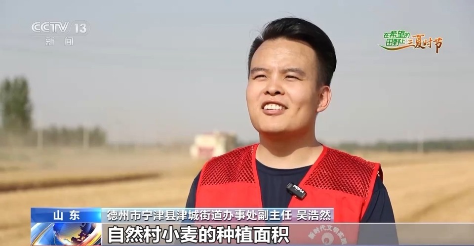 “三夏”生產(chǎn)思維導(dǎo)圖安排上了！還有政府大院等你來(lái)“曬”