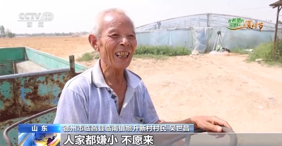 “三夏”生產(chǎn)思維導(dǎo)圖安排上了！還有政府大院等你來(lái)“曬”