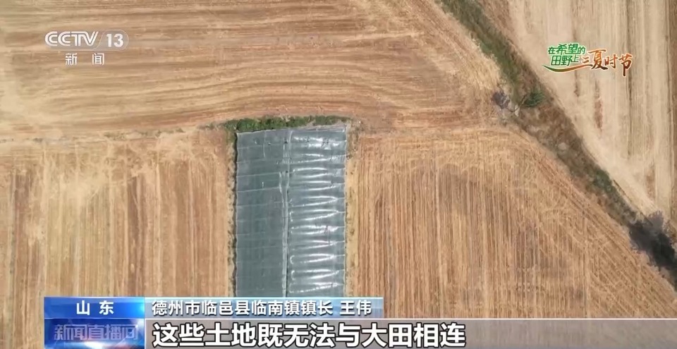 “三夏”生產(chǎn)思維導(dǎo)圖安排上了！還有政府大院等你來(lái)“曬”