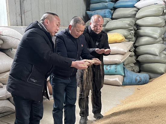 桃江種糧大戶與農村農業(yè)局技術人員正在查看春耕種子情況。受訪單位供圖