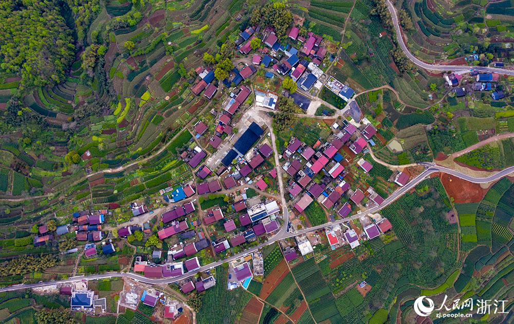 4月1日，紹興市新昌縣東茗鄉(xiāng)下巖貝村風(fēng)光秀麗，茶園旖旎。人民網(wǎng) 章勇濤攝