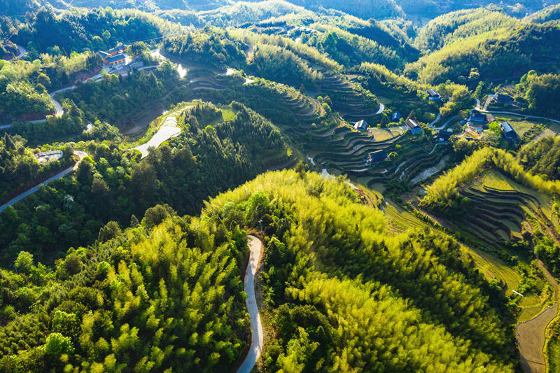 會(huì)同縣高椅鄉(xiāng)雪峰村的產(chǎn)業(yè)路盤旋在綠色的大山之間。田文國(guó)攝