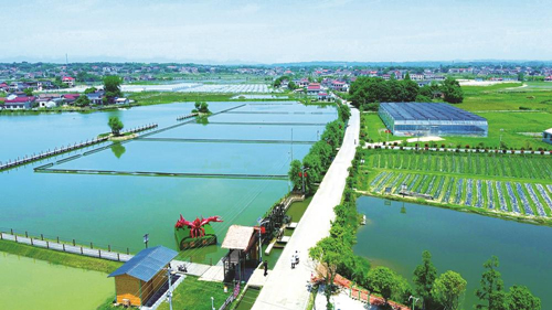 近年來，大成橋鎮(zhèn)堅持加強黨對鄉(xiāng)村治理的集中統(tǒng)一領導，該鎮(zhèn)鄉(xiāng)村治理模式入選第二批全國鄉(xiāng)村治理典型案例。圖為美麗的大成橋鎮(zhèn)。（資料圖片）