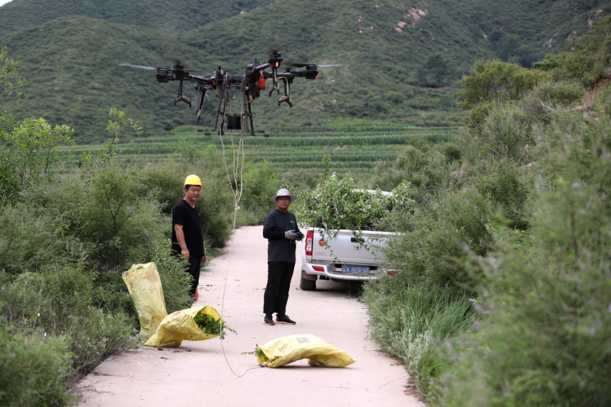在石家莊市井陘縣吳家窯鄉(xiāng)長(zhǎng)峪村荒山造林現(xiàn)場(chǎng)，一名無人機(jī)手操控?zé)o人機(jī)運(yùn)輸樹苗。王保龍攝