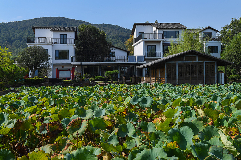 雨悅山房負(fù)責(zé)人原來(lái)在馬達(dá)加斯加打理酒店，之所以“從馬達(dá)加斯加到肥東”，源于對(duì)家鄉(xiāng)民宿前景看好。吳芳攝